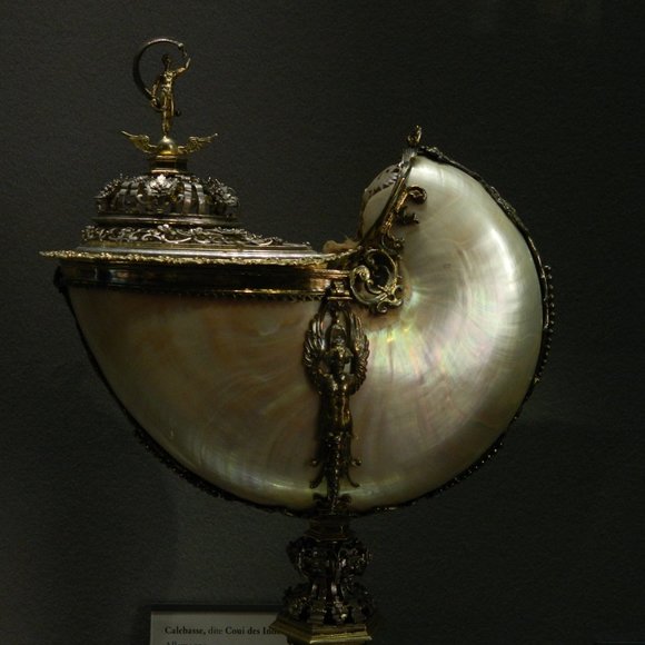 Welcome to my closet! - Picture 3 of 6